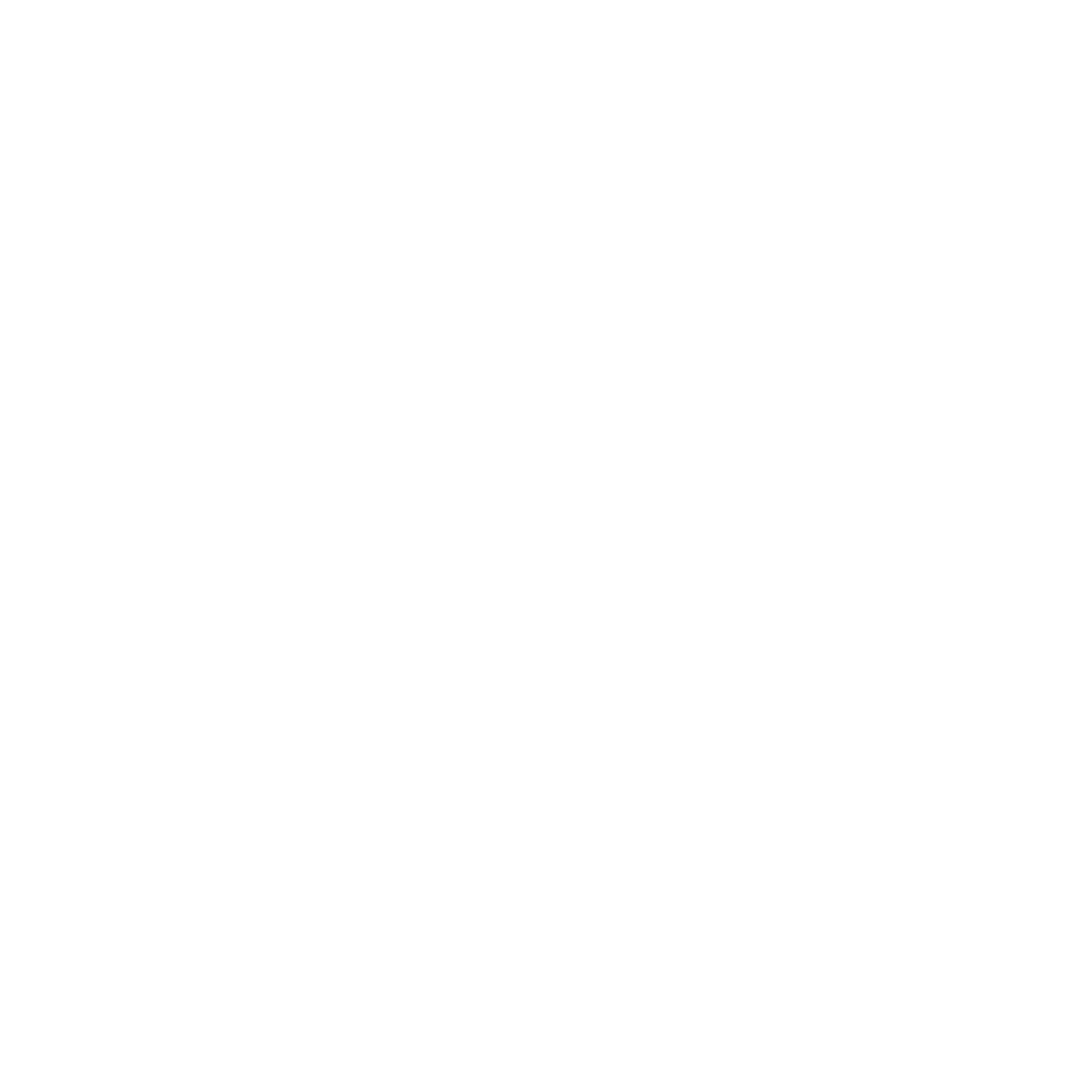 Icon Logo - White